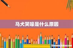 马犬哭嚎是什么原因