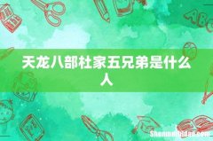 天龙八部杜家五兄弟是什么人