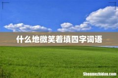 什么地微笑着填四字词语