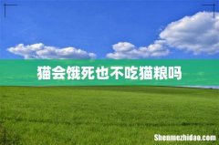 猫会饿死也不吃猫粮吗