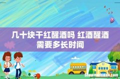 几十块干红醒酒吗 红酒醒酒需要多长时间