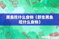 野生黑鱼吃什么食物 黑鱼吃什么食物