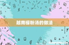 越南檬粉汤的做法