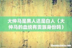 大仲马的血统有贵族身份吗 大仲马是黑人还是白人