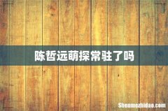 陈哲远萌探常驻了吗