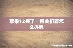 苹果12丢了一直关机着怎么办呢