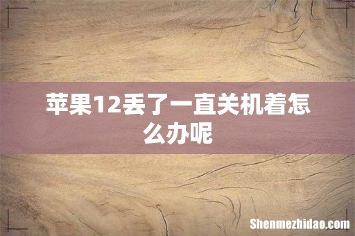 苹果12丢了一直关机着怎么办呢