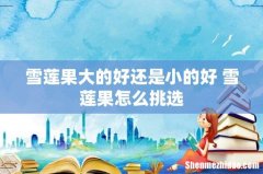 雪莲果大的好还是小的好 雪莲果怎么挑选