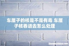 车厘子的核是不是有毒 车厘子核吞进去怎么处理