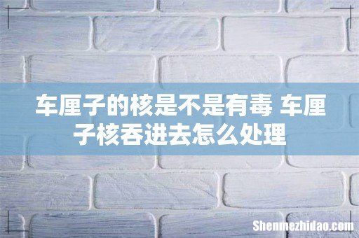 车厘子的核是不是有毒 车厘子核吞进去怎么处理
