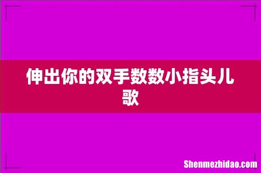 伸出你的双手数数小指头儿歌