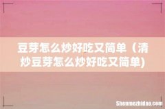 豆芽怎么炒好吃又简单（清炒豆芽怎么炒好吃又简单)