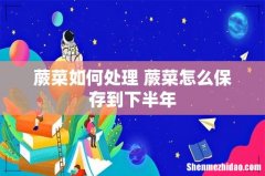 蕨菜如何处理 蕨菜怎么保存到下半年