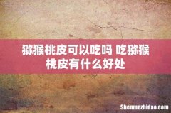 猕猴桃皮可以吃吗 吃猕猴桃皮有什么好处