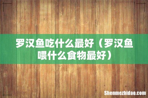 罗汉鱼喂什么食物最好 罗汉鱼吃什么最好