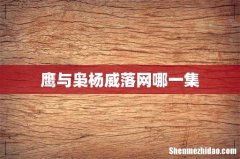 鹰与枭杨威落网哪一集