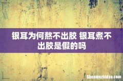 银耳为何熬不出胶 银耳煮不出胶是假的吗