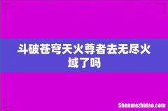 斗破苍穹天火尊者去无尽火域了吗