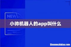 小帅机器人的app叫什么