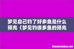 梦见钓很多鱼的预兆 梦见自己钓了好多鱼是什么预兆