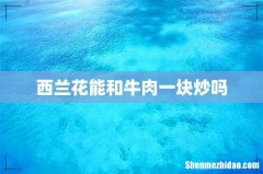 西兰花能和牛肉一块炒吗