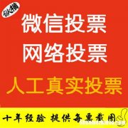 人工拉票投票价格多少钱一票 人工拉票投票价格多少钱一票合适