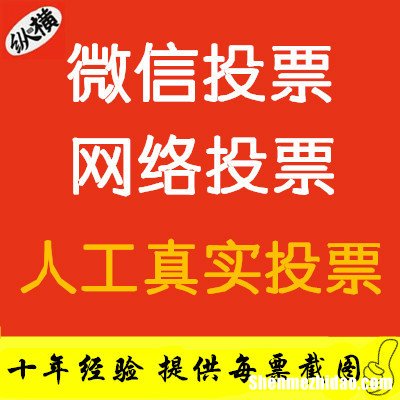 人工拉票投票价格多少钱一票 人工拉票投票价格多少钱一票合适