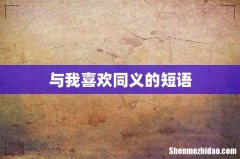 与我喜欢同义的短语