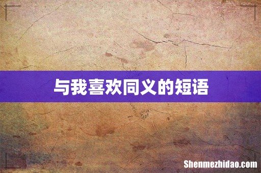 与我喜欢同义的短语