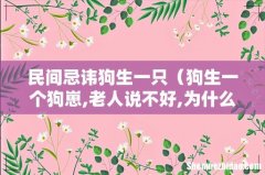 狗生一个狗崽,老人说不好,为什么 民间忌讳狗生一只