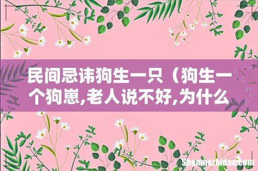 狗生一个狗崽,老人说不好,为什么 民间忌讳狗生一只