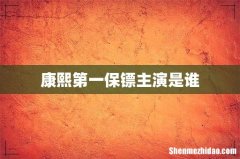 康熙第一保镖主演是谁