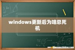windows更新后为啥总死机