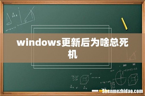windows更新后为啥总死机