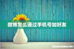微博怎么通过手机号加好友
