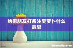 给男朋友打备注臭萝卜什么意思