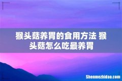 猴头菇养胃的食用方法 猴头菇怎么吃最养胃