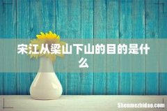 宋江从梁山下山的目的是什么