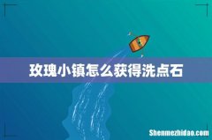 玫瑰小镇怎么获得洗点石