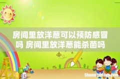 房间里放洋葱可以预防感冒吗 房间里放洋葱能杀菌吗