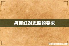 丹顶红对光照的要求