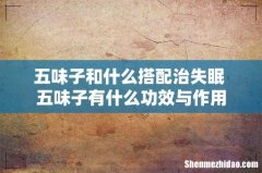 五味子和什么搭配治失眠 五味子有什么功效与作用