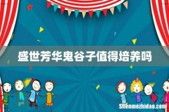 盛世芳华鬼谷子值得培养吗