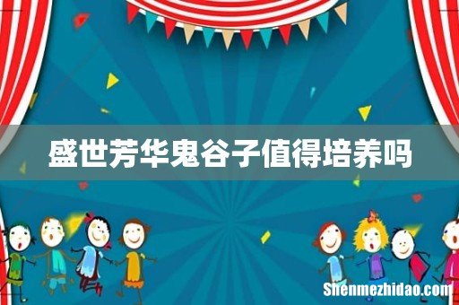 盛世芳华鬼谷子值得培养吗