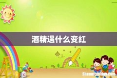 酒精遇什么变红