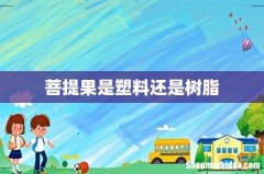 菩提果是塑料还是树脂