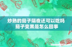 炒熟的茄子隔夜还可以吃吗 茄子变黑是怎么回事