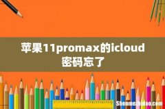 苹果11promax的icloud密码忘了
