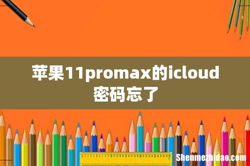 苹果11promax的icloud密码忘了