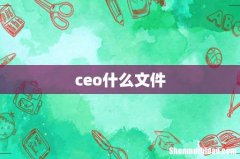 ceo什么文件